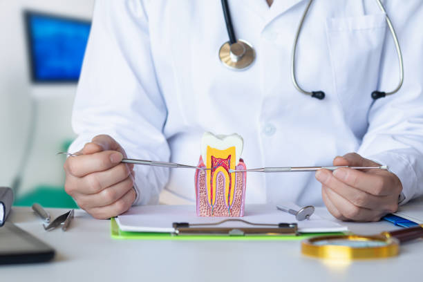 Best Emergency Dental Care for Broken or Chipped Teeth in Mission, TX